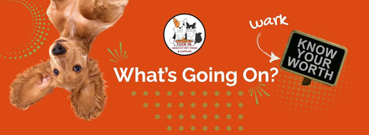 Community: We’d like to welcome the Studio Pilates team to Warkworth - Tuck In Healthy Pet Food & Animal Natural Health Supplies