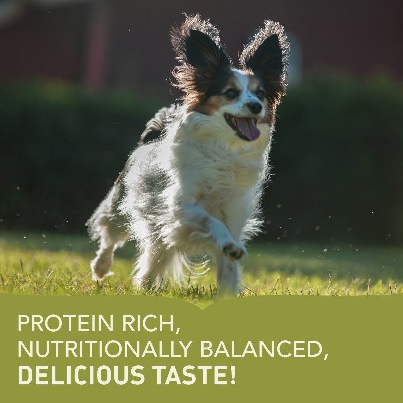 Acana Puppy - Small Breed - Tuck In Healthy Pet Food & Animal Natural Health Supplies