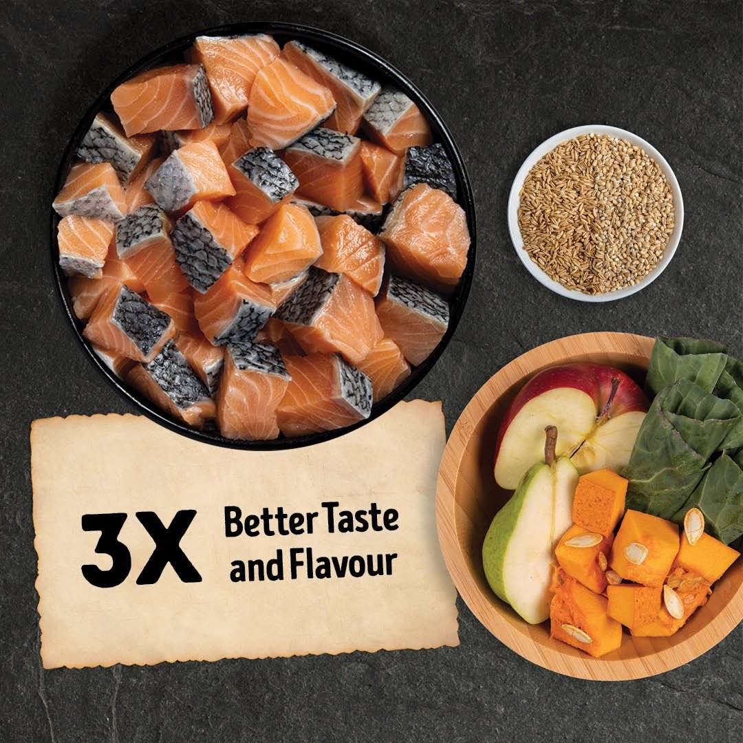 Acana Wild Coast Recipe for Dogs - Tuck In Healthy Pet Food & Animal Natural Health Supplies