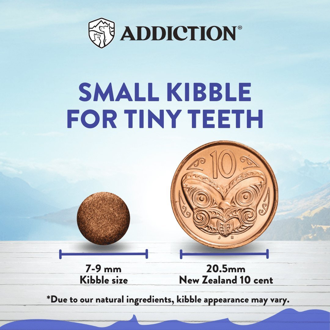 Addiction Duck Royale Entree for Small Dogs - 1.5kg - Tuck In Healthy Pet Food & Animal Natural Health Supplies