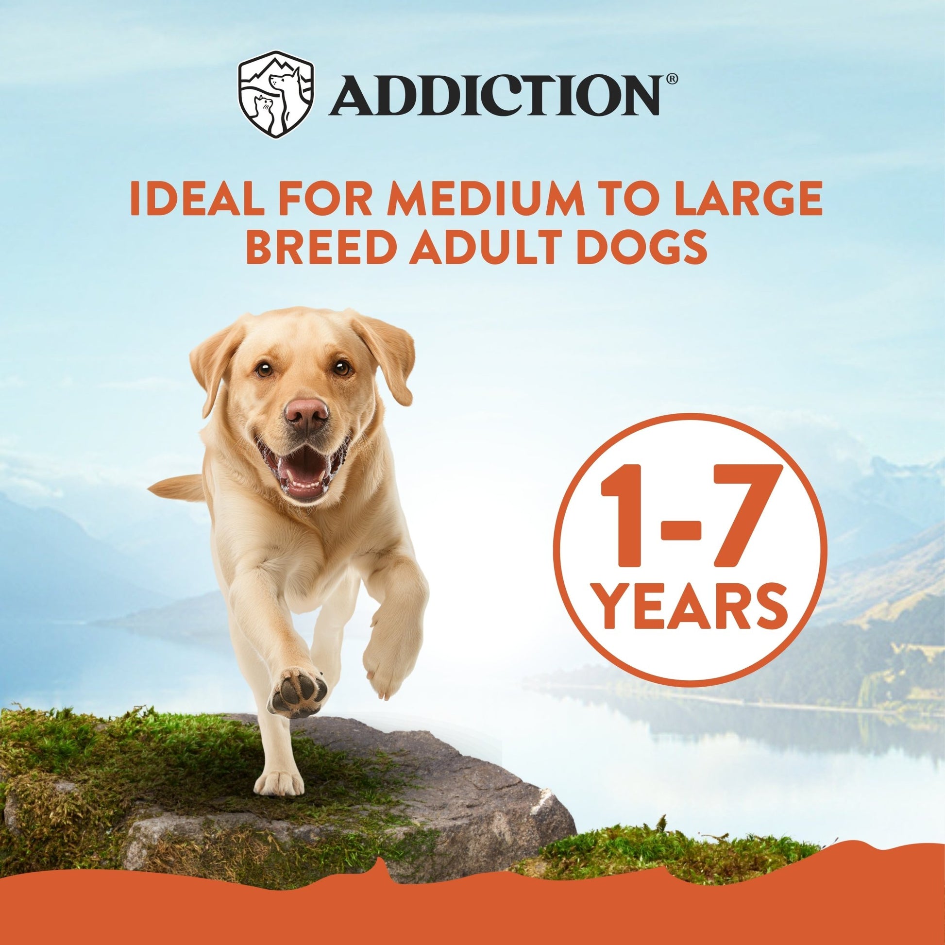 Addiction MEGA Large Breed Adult, Complete & Balanced Dry Dog Food - Dry - Bag - Warkworth