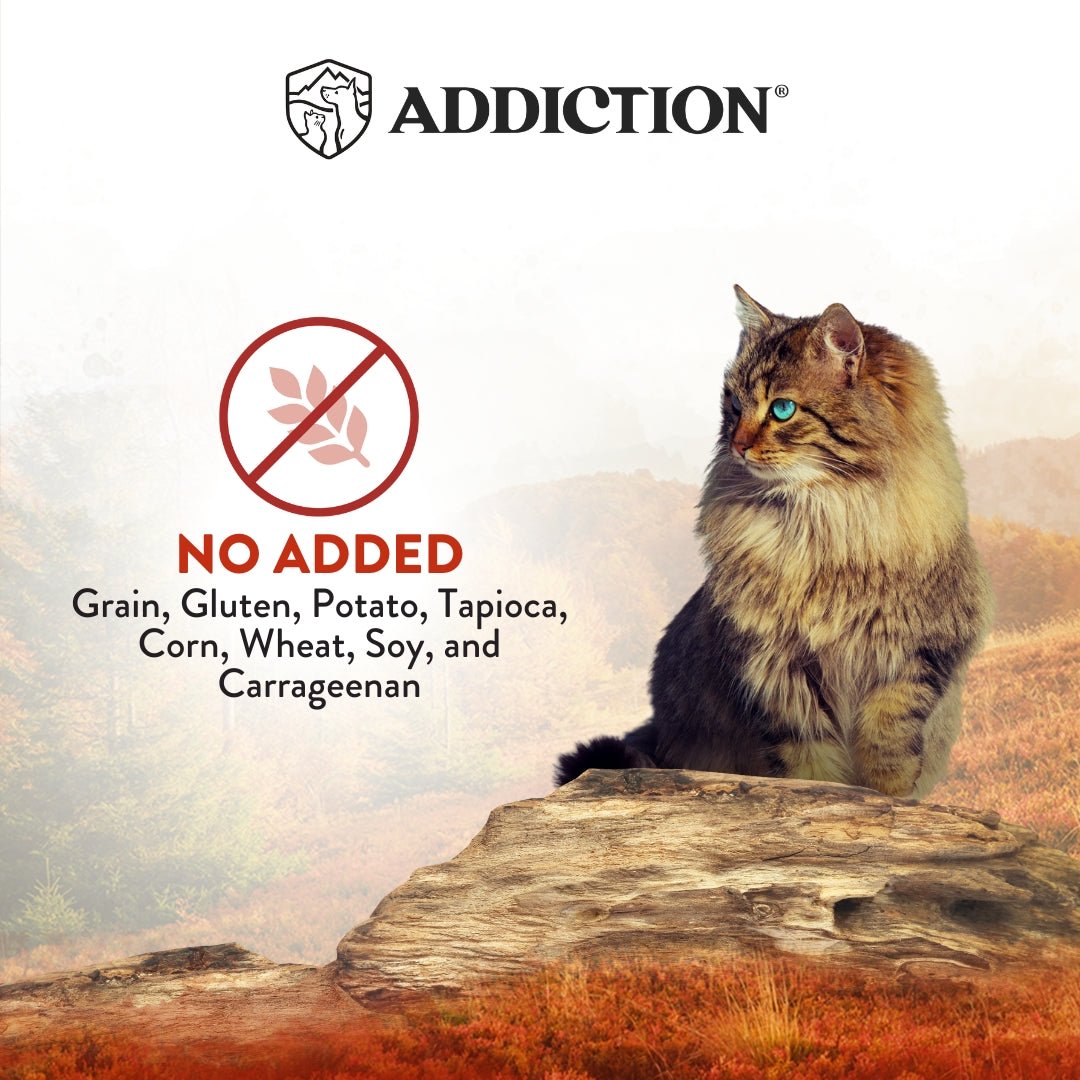 Addiction Wild Islands Forest Meat Venison & Beef Canned Cat Food 185 gm - Tuck In Healthy Pet Food & Animal Natural Health Supplies
