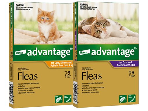 Advantage Topical Flea Treatment for Kittens, Cats and Rabbits - Tuck In Healthy Pet Food & Animal Natural Health Supplies