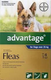 Advantage Topical Flea Treatment for Puppies and Dogs - Tuck In Healthy Pet Food & Animal Natural Health Supplies