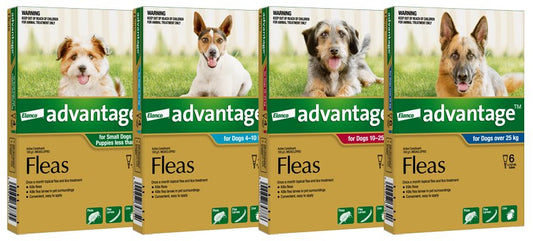 Advantage Topical Flea Treatment for Puppies and Dogs - Tuck In Healthy Pet Food & Animal Natural Health Supplies