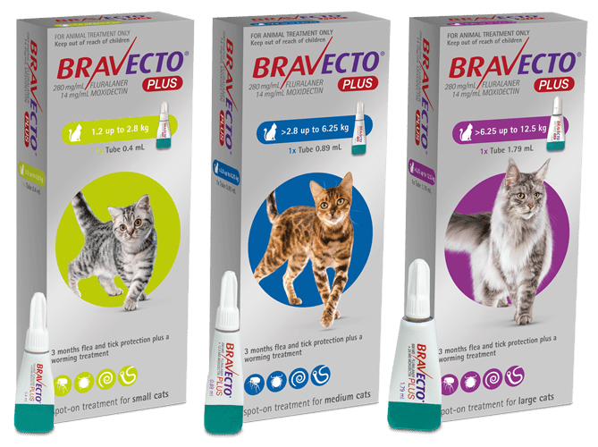 Bravecto Plus Flea, Tick, & Worm Spot - On Treatment for Cats - Tuck In Healthy Pet Food & Animal Natural Health Supplies