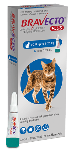 Bravecto Plus Flea, Tick, & Worm Spot - On Treatment for Cats - Tuck In Healthy Pet Food & Animal Natural Health Supplies