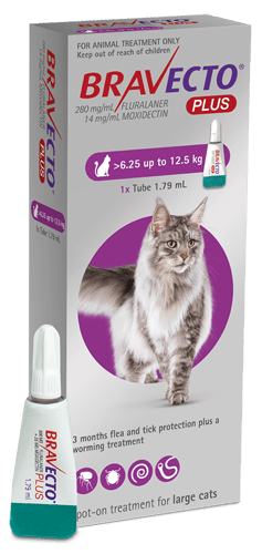 Bravecto Plus Flea, Tick, & Worm Spot - On Treatment for Cats - Tuck In Healthy Pet Food & Animal Natural Health Supplies