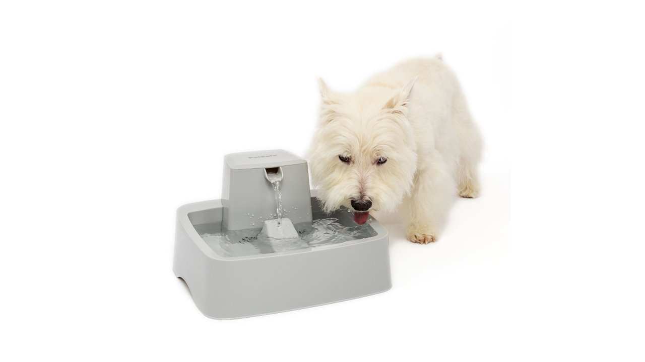 Drinkwell Pet Fountain 3.7L - Tuck In Healthy Pet Food & Animal Natural Health Supplies