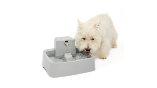 Drinkwell Pet Fountain 3.7L - Tuck In Healthy Pet Food & Animal Natural Health Supplies