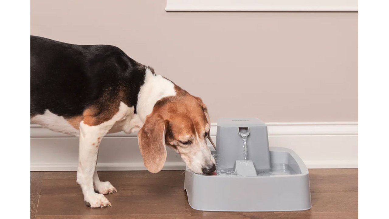 Drinkwell Pet Fountain 7.5L - Tuck In Healthy Pet Food & Animal Natural Health Supplies