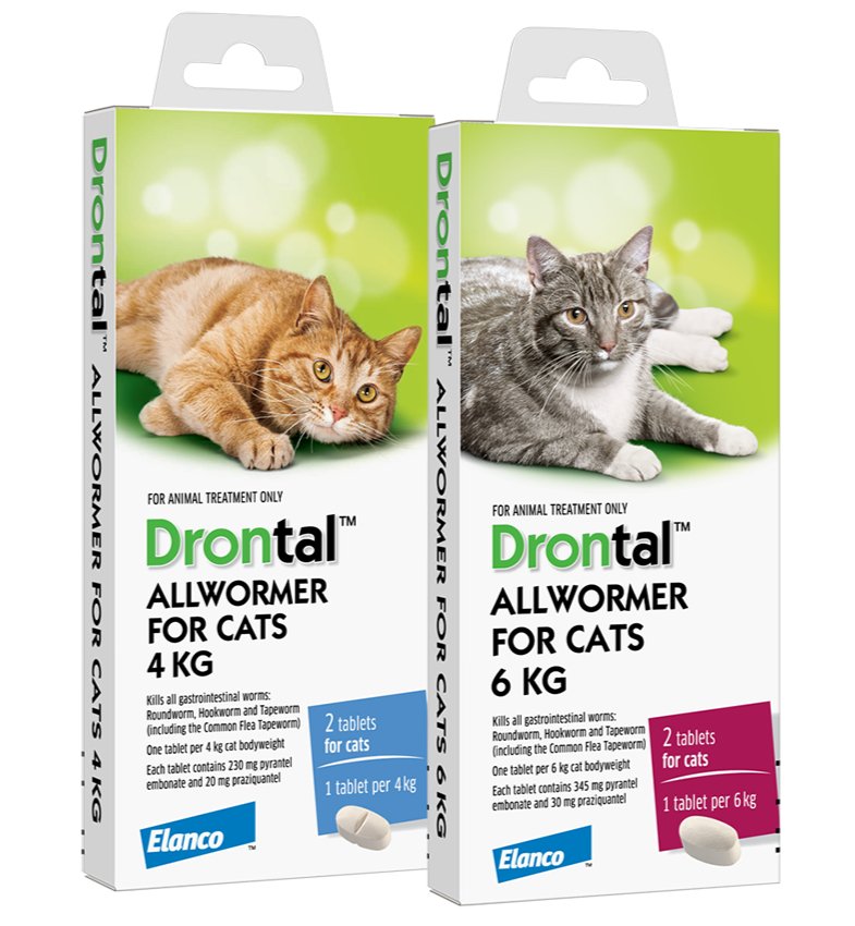 Drontal for Cats and Kittens: treats and controls gastrointestinal worms - Tuck In Healthy Pet Food & Animal Natural Health Supplies