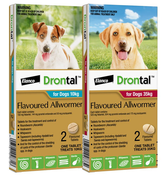 Drontal for Dogs and Puppies: treats and controls gastrointestinal worms - Tuck In Healthy Pet Food & Animal Natural Health Supplies