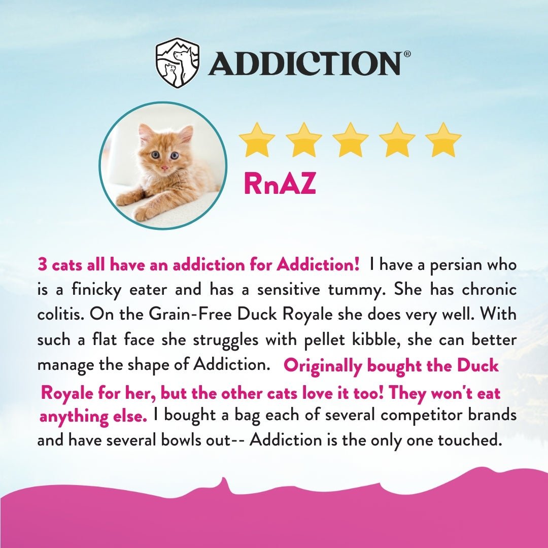 Addiction - Duck Royale Entrée Cat for All Life Stages - Food - Dry - Tuck In Healthy Pet Food & Animal Natural Health Supplies