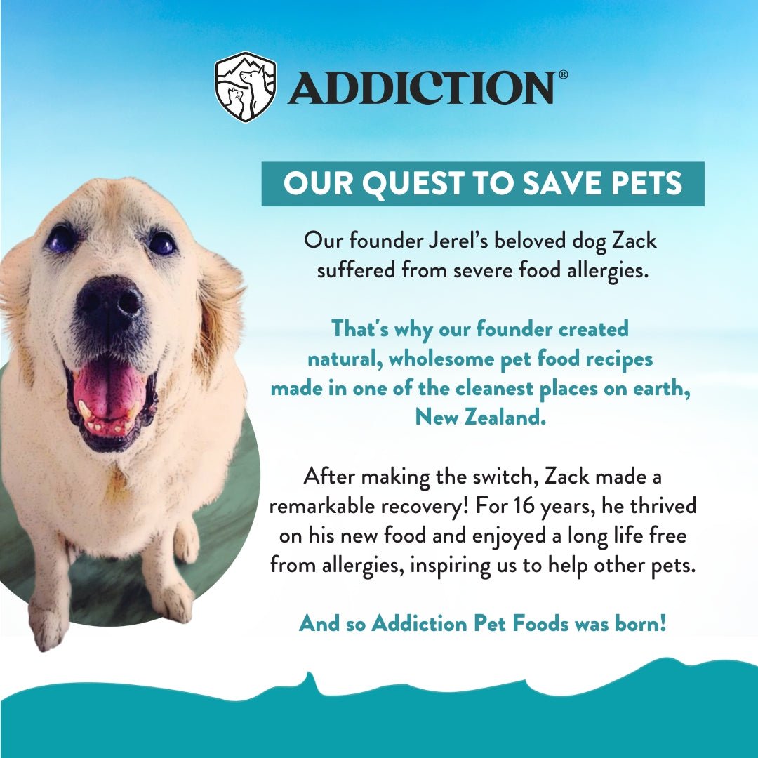 Addiction Salmon Bleu Cat, Complete & Balanced, Skin & Coat Dry Cat Food - Food - Dry - Tuck In Healthy Pet Food & Animal Natural Health Supplies