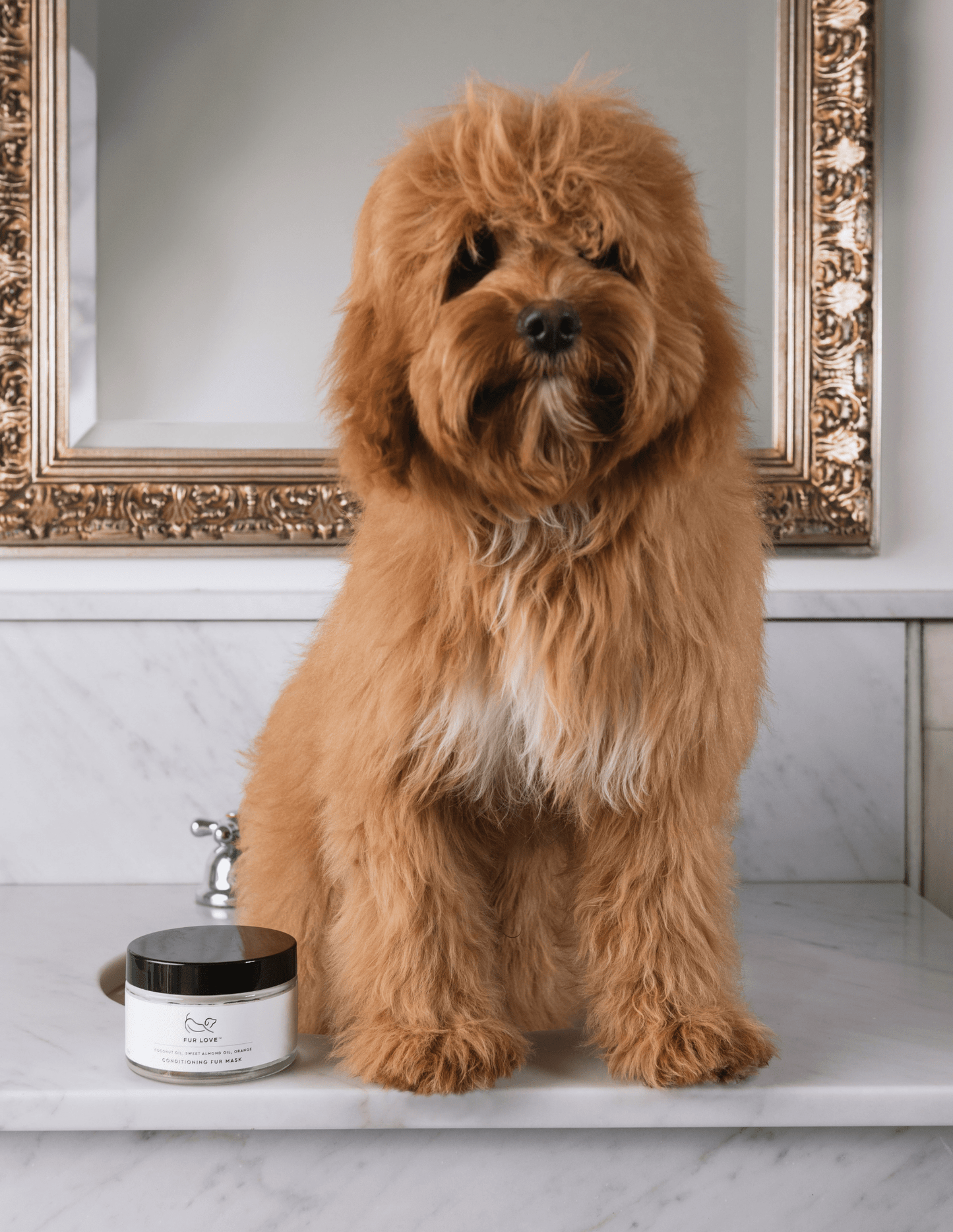 Fur Love Conditioning Fur Mask for Dogs - Tuck In Healthy Pet Food & Animal Natural Health Supplies