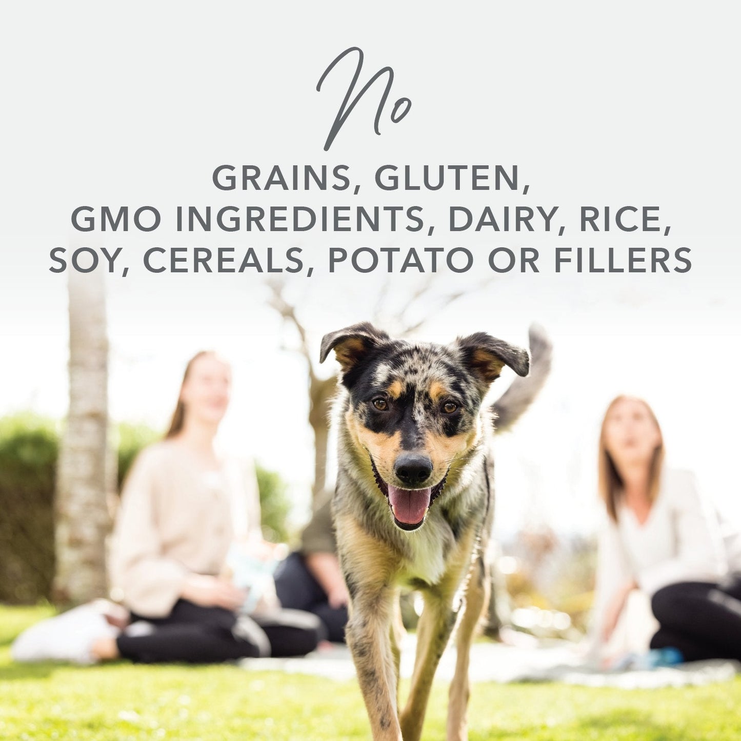 K9 Natural Grain-Free Freeze-Dried Dog Food - Chicken - Tuck In Healthy Pet Food & Animal Natural Health Supplies