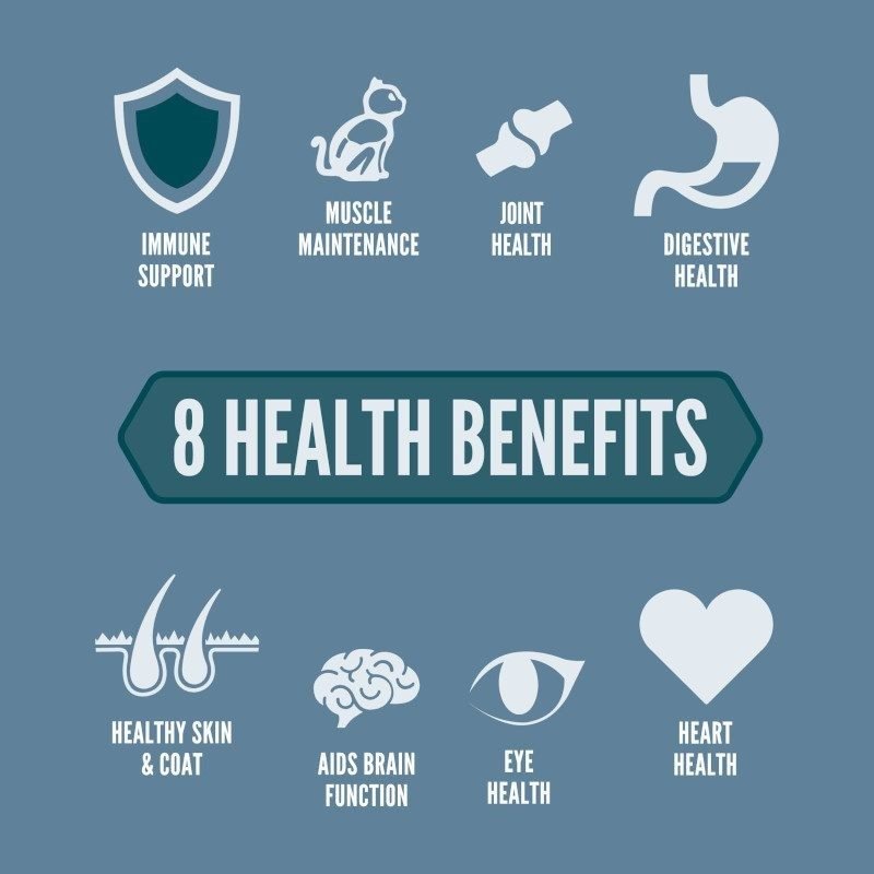 Orijen Guardian 8 Cat Food - Tuck In Healthy Pet Food & Animal Natural Health Supplies