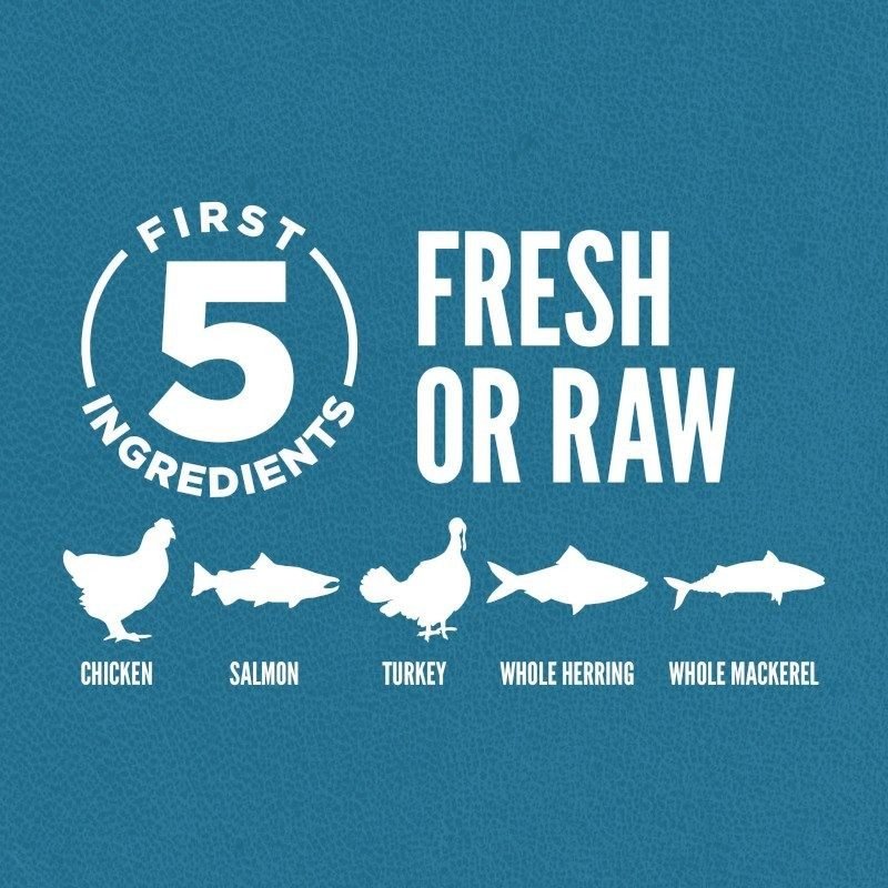 Orijen Guardian 8 Cat Food - Tuck In Healthy Pet Food & Animal Natural Health Supplies