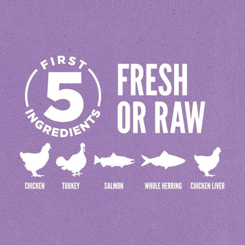 Orijen Kitten - Tuck In Healthy Pet Food & Animal Natural Health Supplies