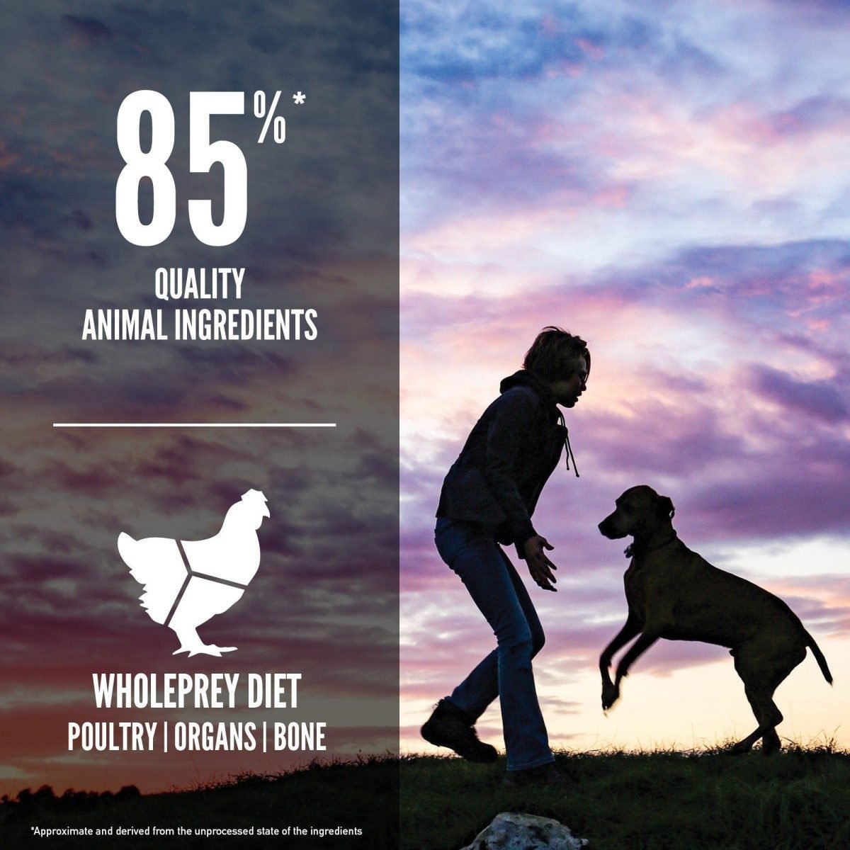 Orijen Puppy Large Breed - Tuck In Healthy Pet Food & Animal Natural Health Supplies