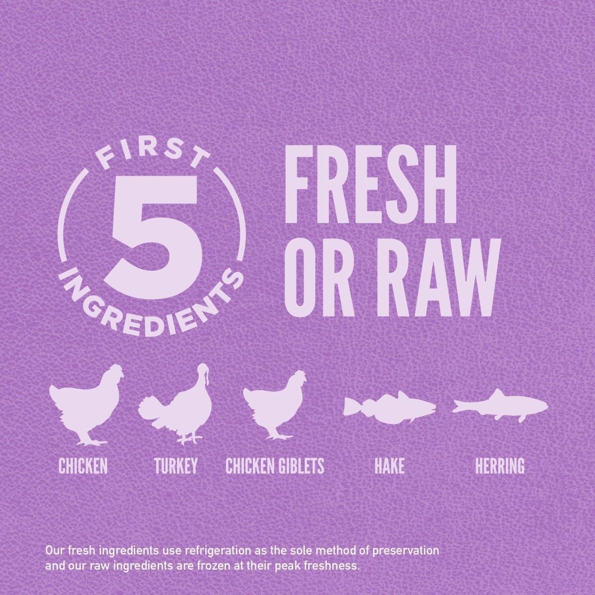 Orijen Puppy Large Breed - Tuck In Healthy Pet Food & Animal Natural Health Supplies