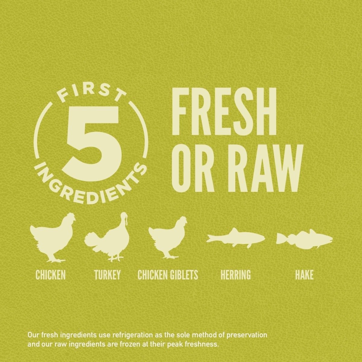 Orijen Senior Dog - Tuck In Healthy Pet Food & Animal Natural Health Supplies