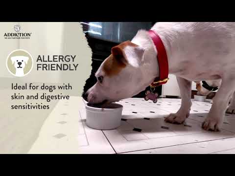 Country Chicken & Apricot Dinner, Wholesome Grains, Air-Dried Dog Food