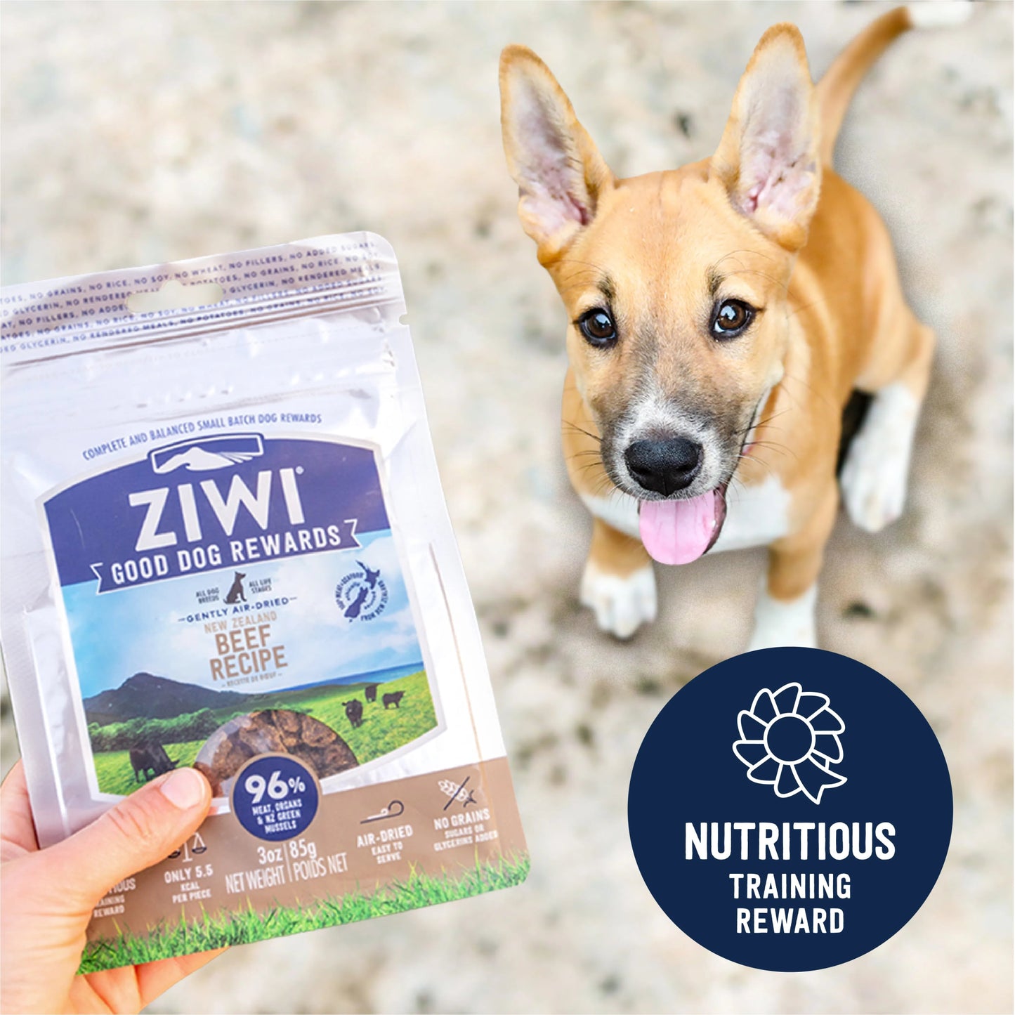 Beef Good Dog Rewards™ Training Treats