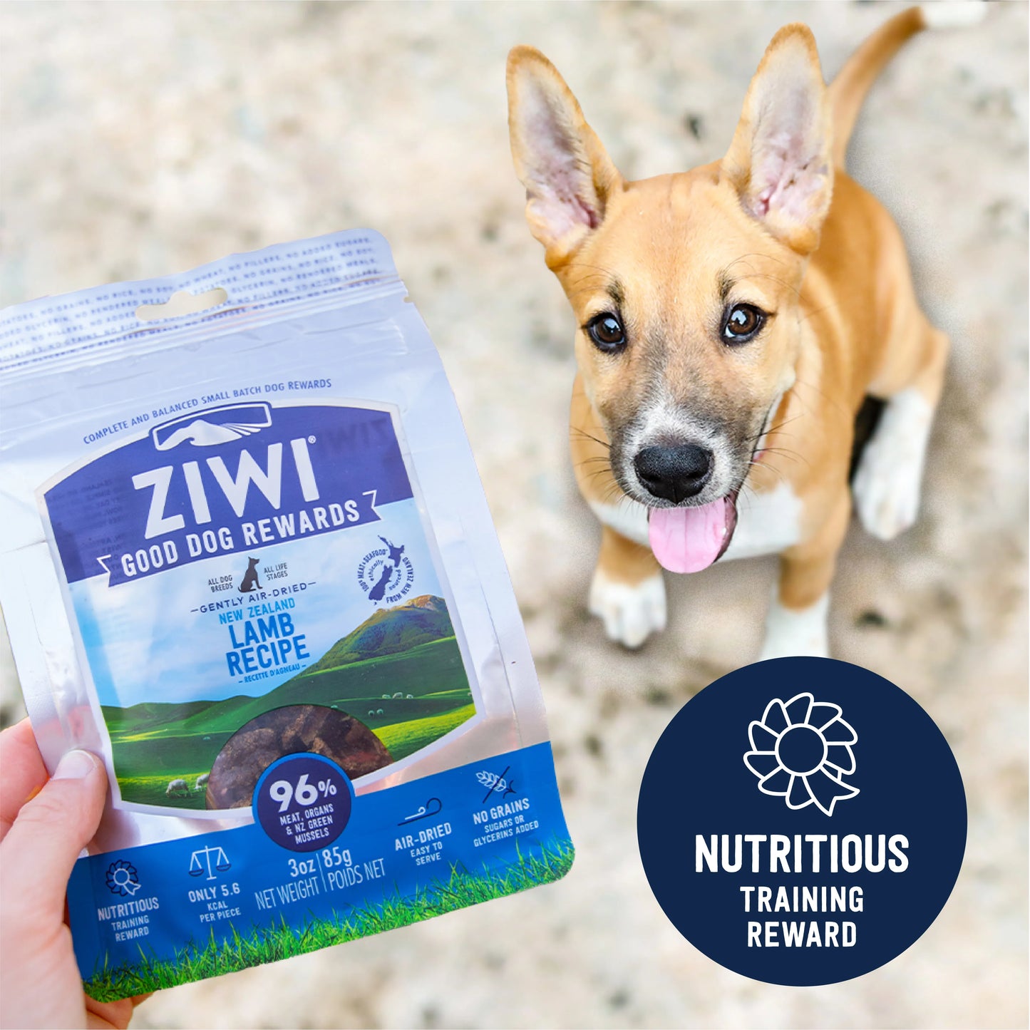 ZIWI Peak® Lamb Good Dog Rewards™ for Dogs