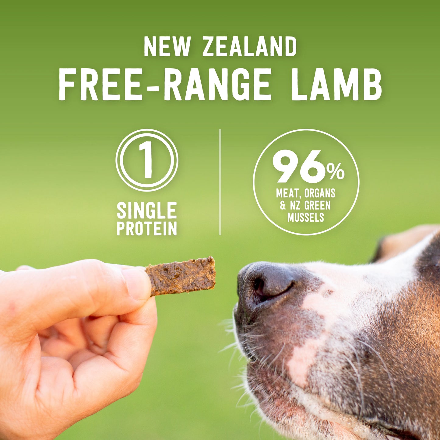 ZIWI Peak® Lamb Good Dog Rewards™ for Dogs