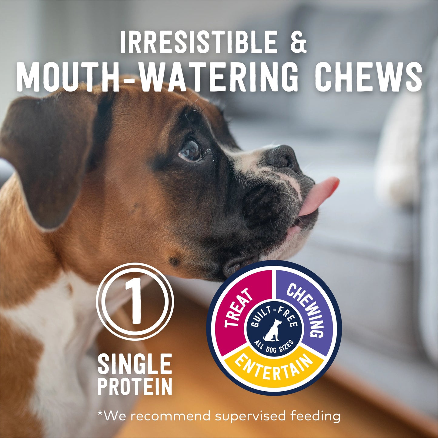 Lamb Ears - Liver Coated Healthy Chews for Dogs