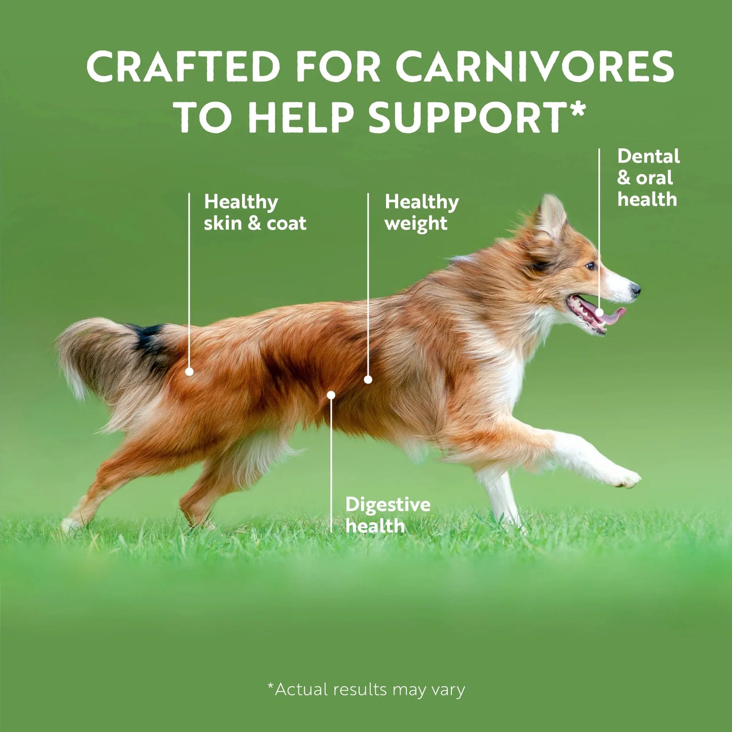 ZIWI Peak® for dogs- Crafted for Carnivores - Healthy Skin & Coat - Digestive Care - Dental Support - Warkworth