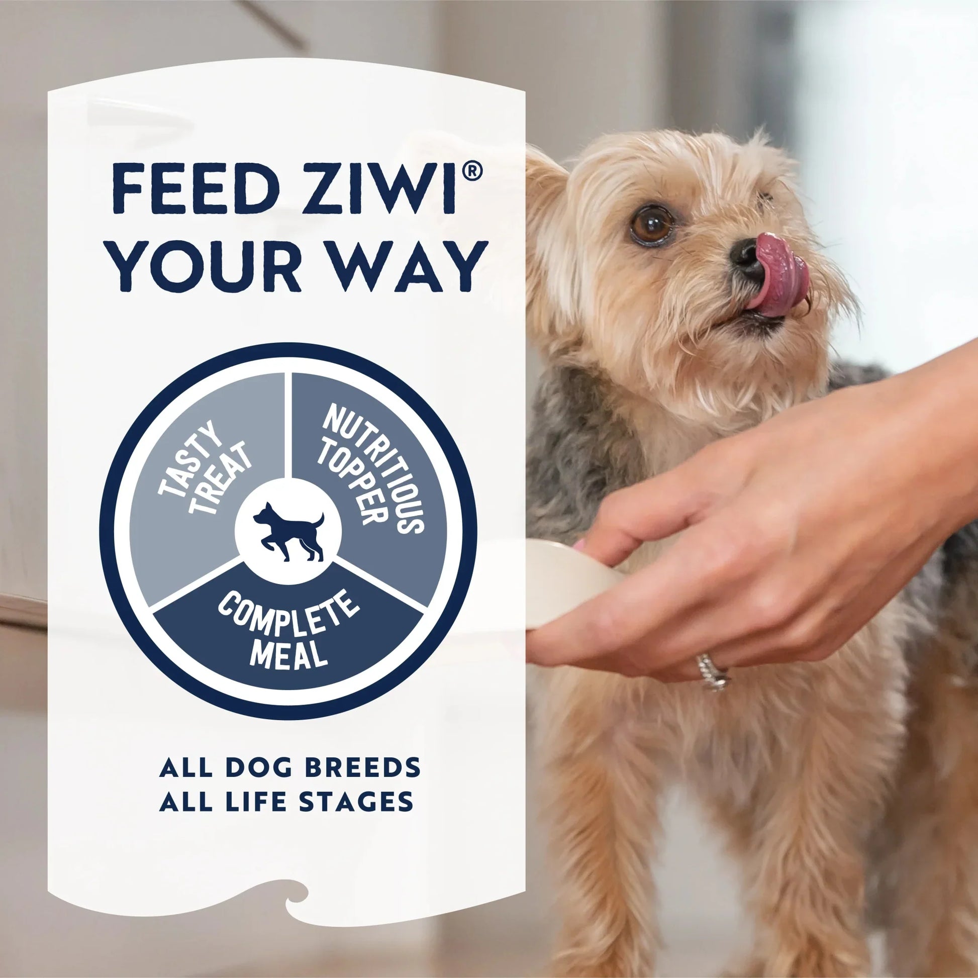ZIWI Peak® for dogs- Feed Your Way - All Life Stages - Nutritious Topper - Complete Meal - Tasty Treat - Warkworth