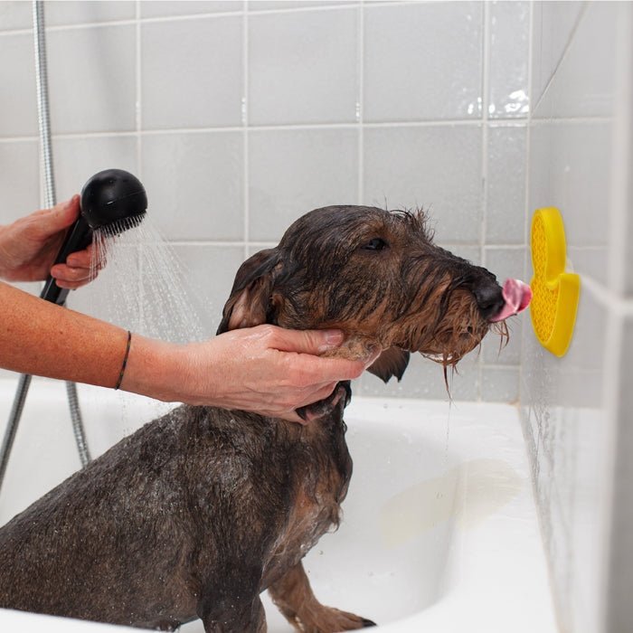 All For Paws Bath Anti Anxiety Duck - Tuck In Healthy Pet Food & Animal Natural Health Supplies