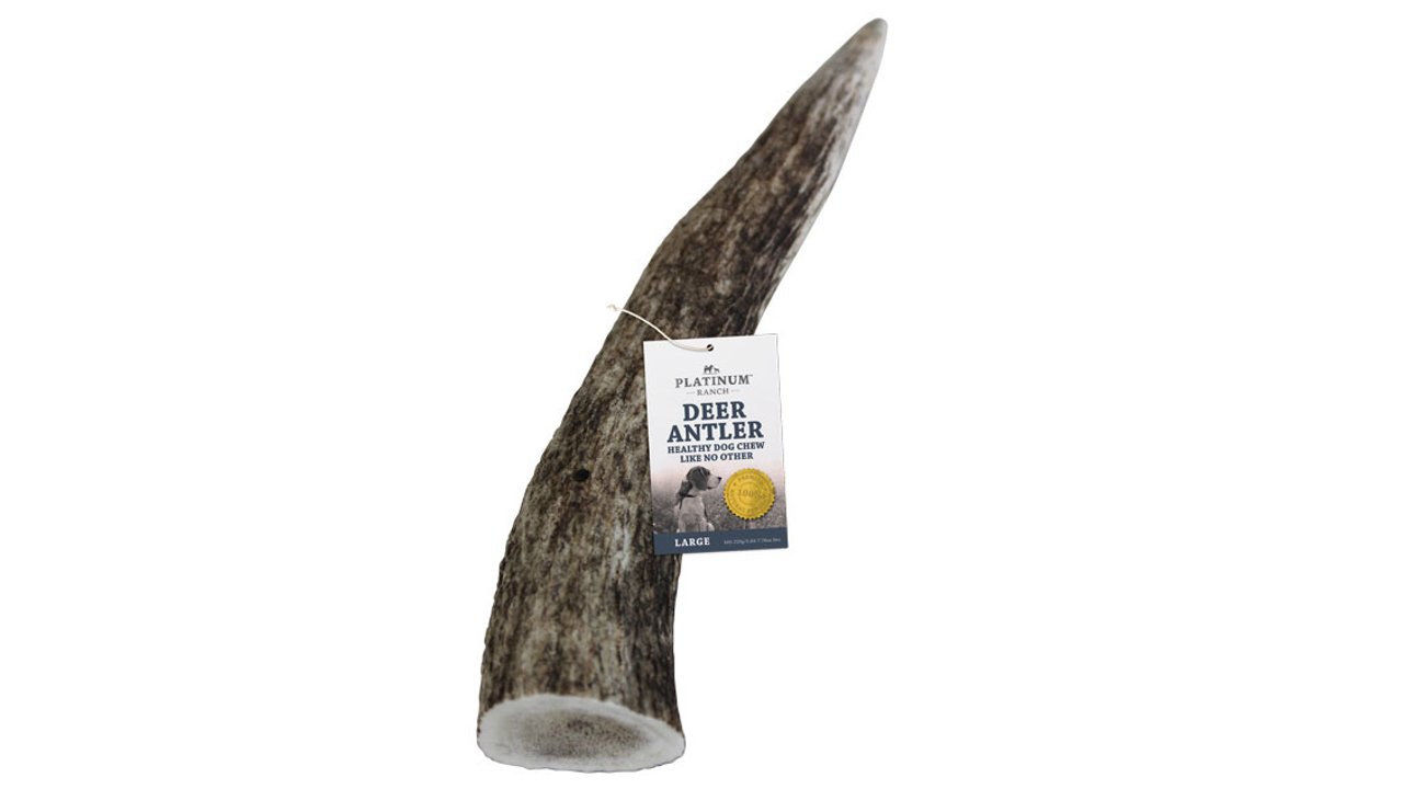 Deer Antler - Tuck In Healthy Pet Food & Animal Natural Health Supplies