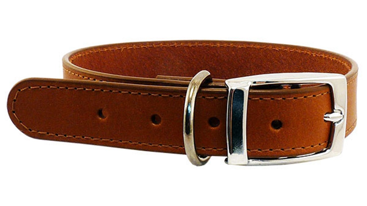 Deluxe Leather Collar - 18mm x 45cm - Tuck In Healthy Pet Food & Animal Natural Health Supplies