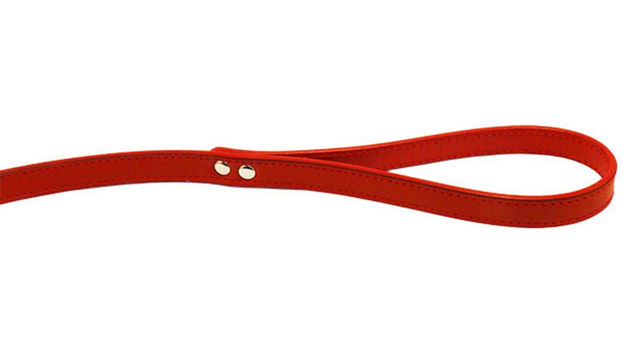 Deluxe Leather Lead - 16mm x 100cm - Tuck In Healthy Pet Food & Animal Natural Health Supplies