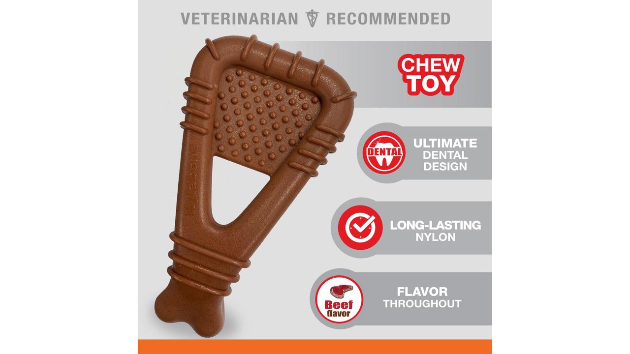 Nylabone Dental Arch Bone - Tuck In Healthy Pet Food & Animal Natural Health Supplies