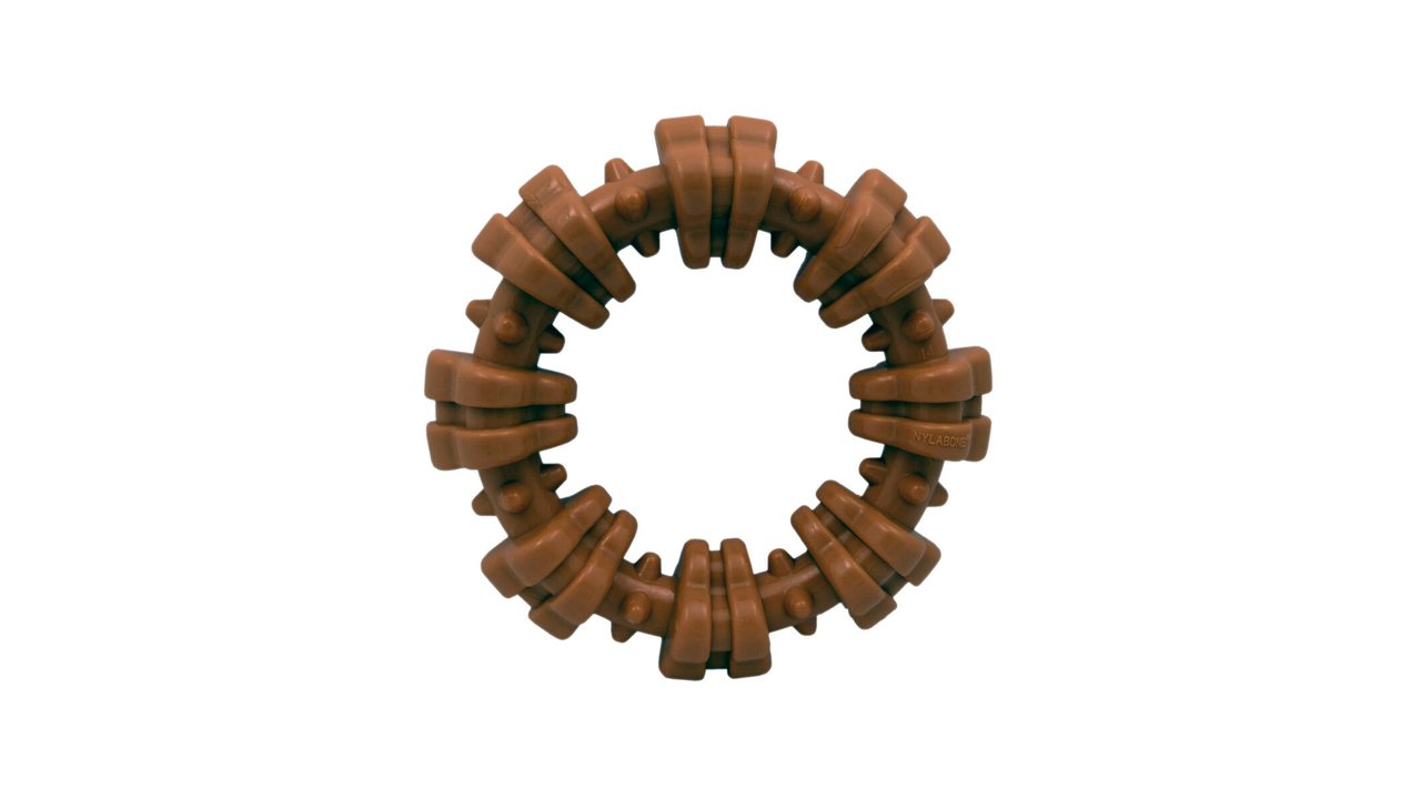 Nylabone Dura Chew Textured Ring - Flavour Medley, Large Size - Tuck In Healthy Pet Food & Animal Natural Health Supplies