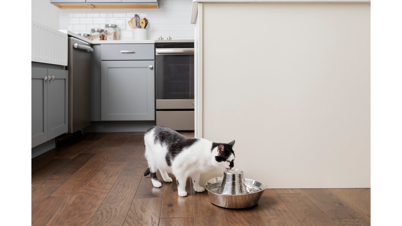 PetSafe Seaside Stainless Steel Pet Fountain - Tuck In Healthy Pet Food & Animal Natural Health Supplies