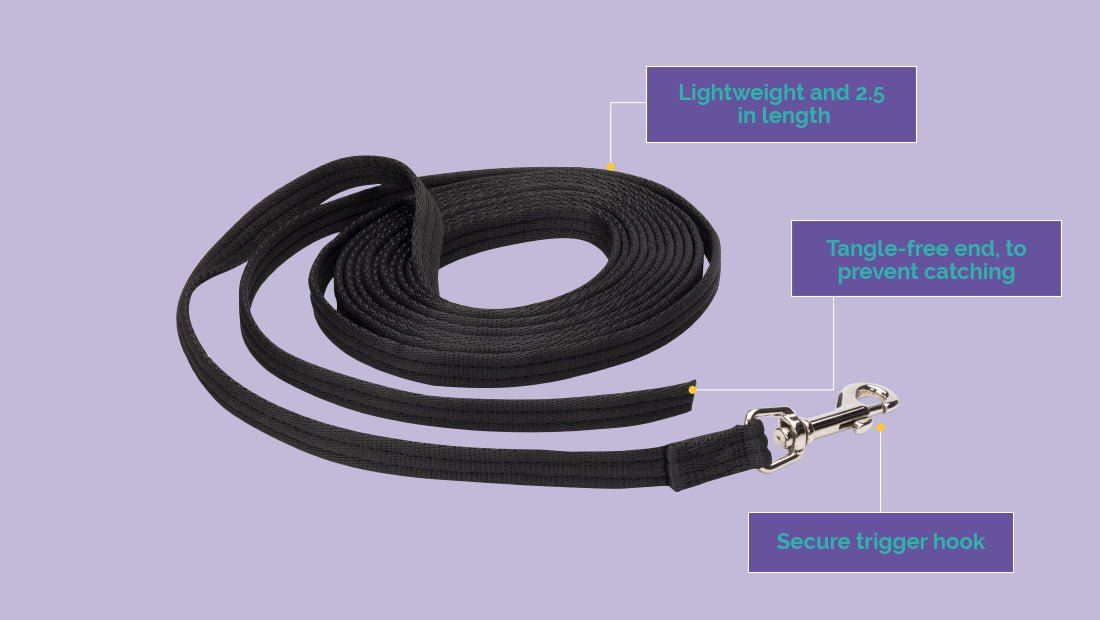 Puppy Training Line (Long Line) - Tuck In Healthy Pet Food & Animal Natural Health Supplies