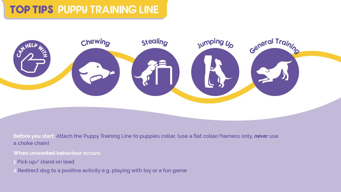 Puppy Training Line (Long Line) - Tuck In Healthy Pet Food & Animal Natural Health Supplies