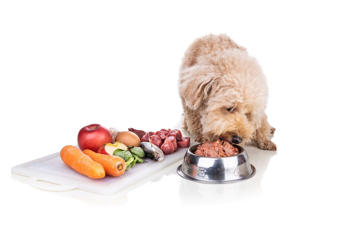 Three Categories of Raw Foods for Dogs - Tuck In Healthy Pet Food & Animal Natural Health Supplies