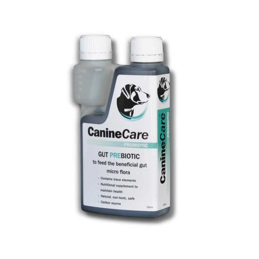 Canine Care CanineCare GUT Prebiotic 250ml - Pet Supplement - Bag - Warkworth