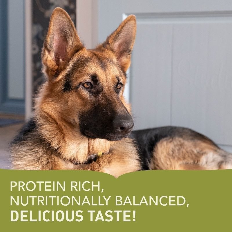 Acana Adult Dog Recipe - Tuck In Healthy Pet Food & Animal Natural Health Supplies