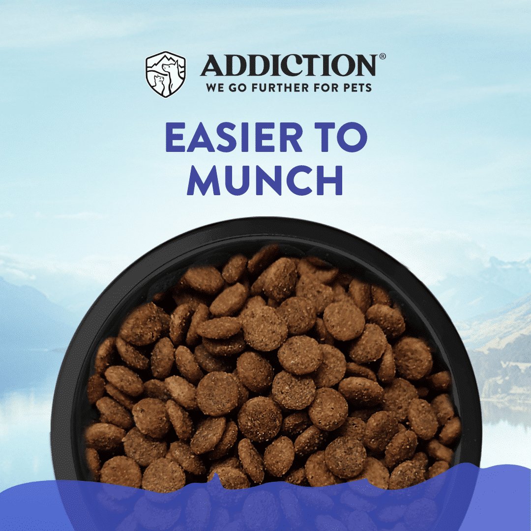 Addicition Duck Royale Entree for Small Dogs - 1.5kg - Tuck In Healthy Pet Food & Animal Natural Health Supplies