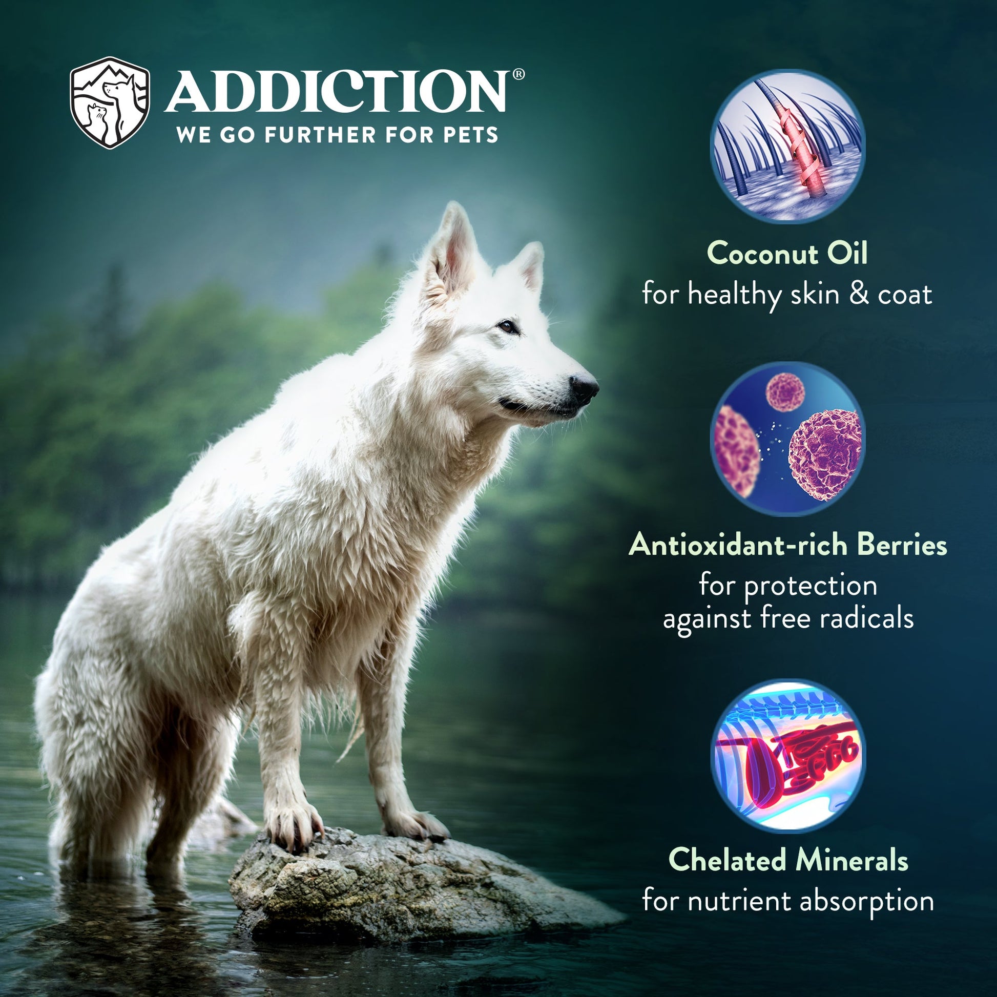 Addiction Wild Kangaroo & Apples, Sensitive Care, Novel Protein Dry Dog Food - Dry - 9kg Bag - Warkworth