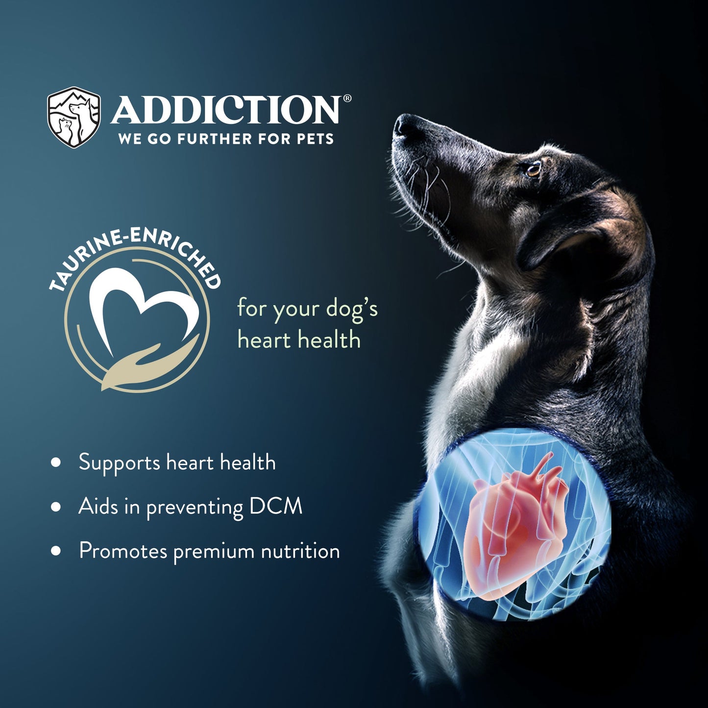 Addiction Wild Kangaroo & Apples, Sensitive Care, Novel Protein Dry Dog Food - Dry - 9kg Bag - Warkworth