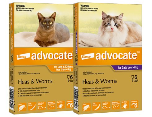 Advocate Topical Flea and Worm Treatment for Cats - Tuck In Healthy Pet Food & Animal Natural Health Supplies